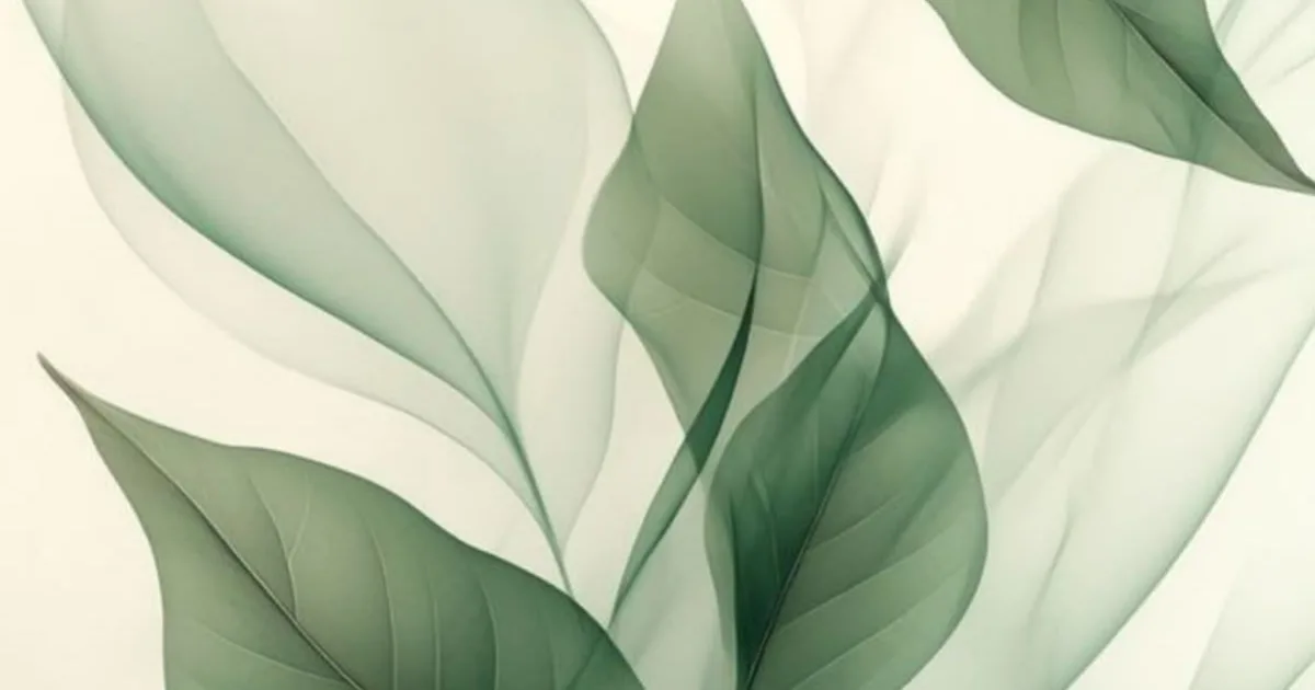Cover photo for Deliaka Ghanghass